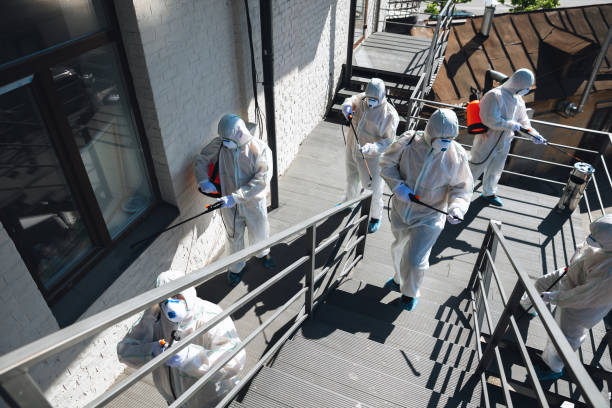 Trusted Whitinsville, MA Mold Removal Experts