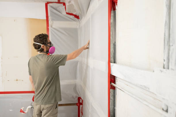 Best Water Damage & Mold Remediation  in Whitinsville, MA