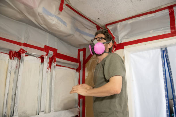 Best Forensic Mold Investigation  in Whitinsville, MA